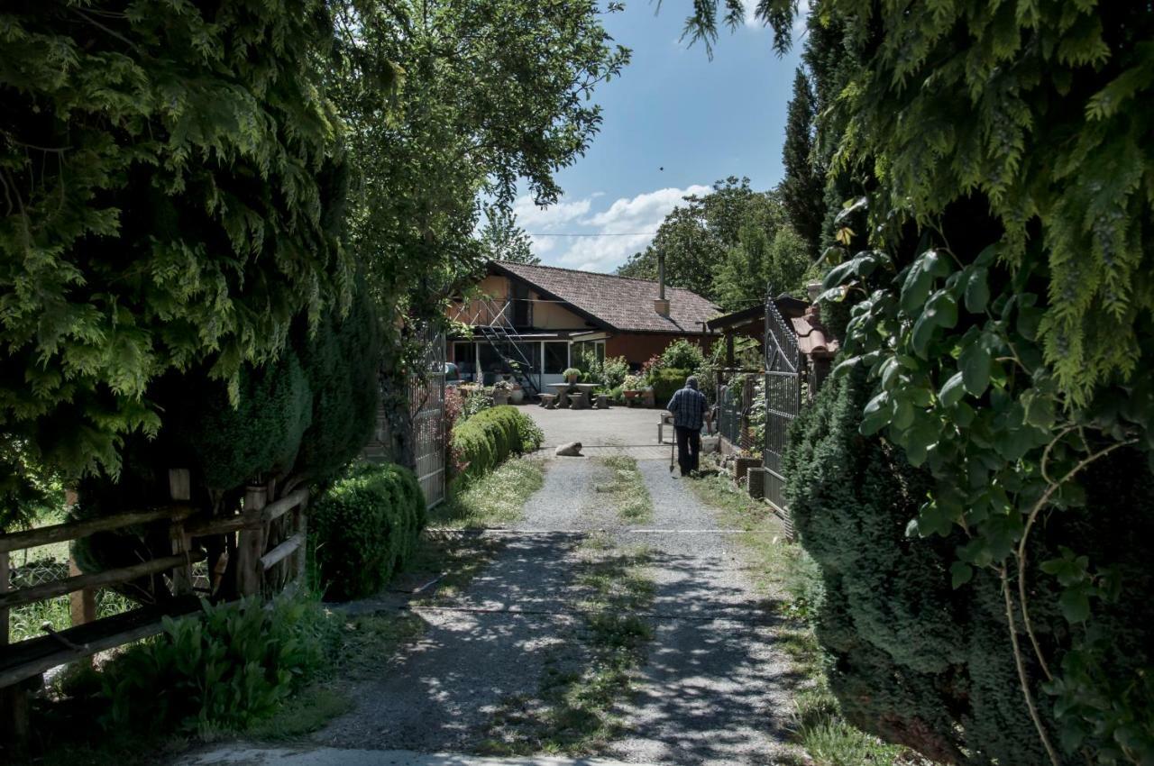La Locanda Degli Elfi Viggianello Exterior photo